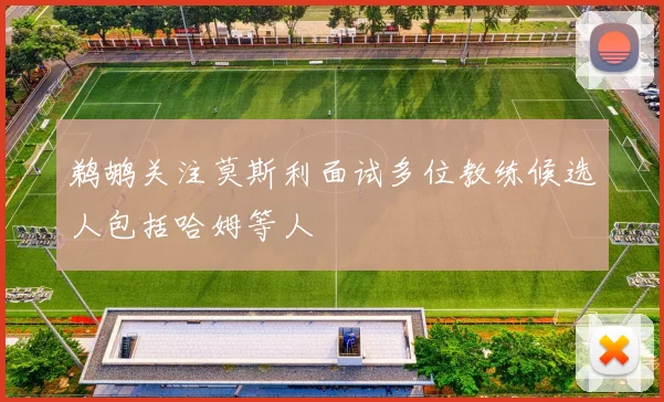 鹈鹕关注莫斯利面试多位教练候选人包括哈姆等人